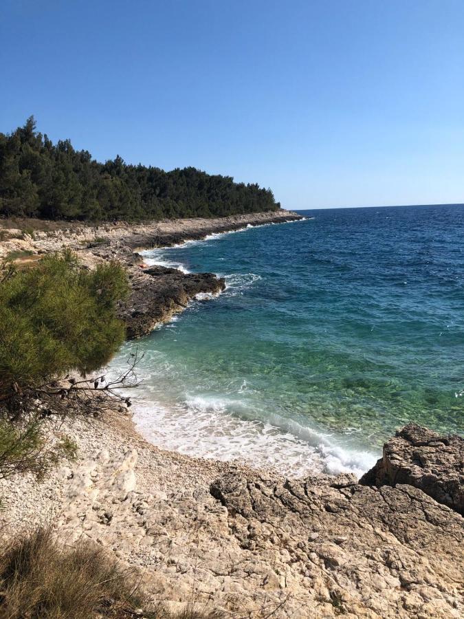 Orhideja Apartment With Private Backyard Premantura Εξωτερικό φωτογραφία